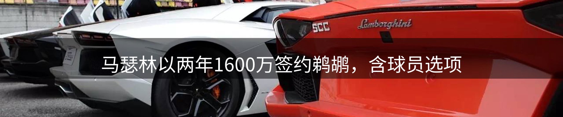 焦点展望